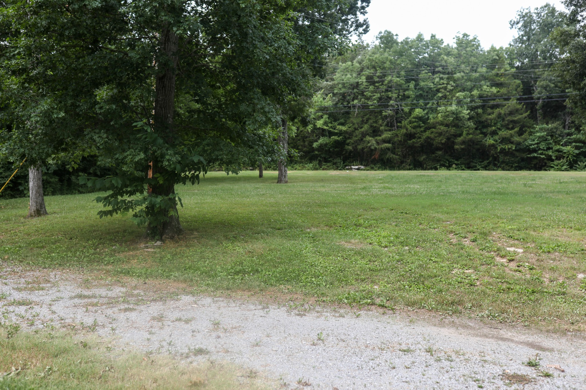 162 Hiwassee Road Lebanon, TN 37087 - Photo 8 of 50 a view of outdoor space with trees all around