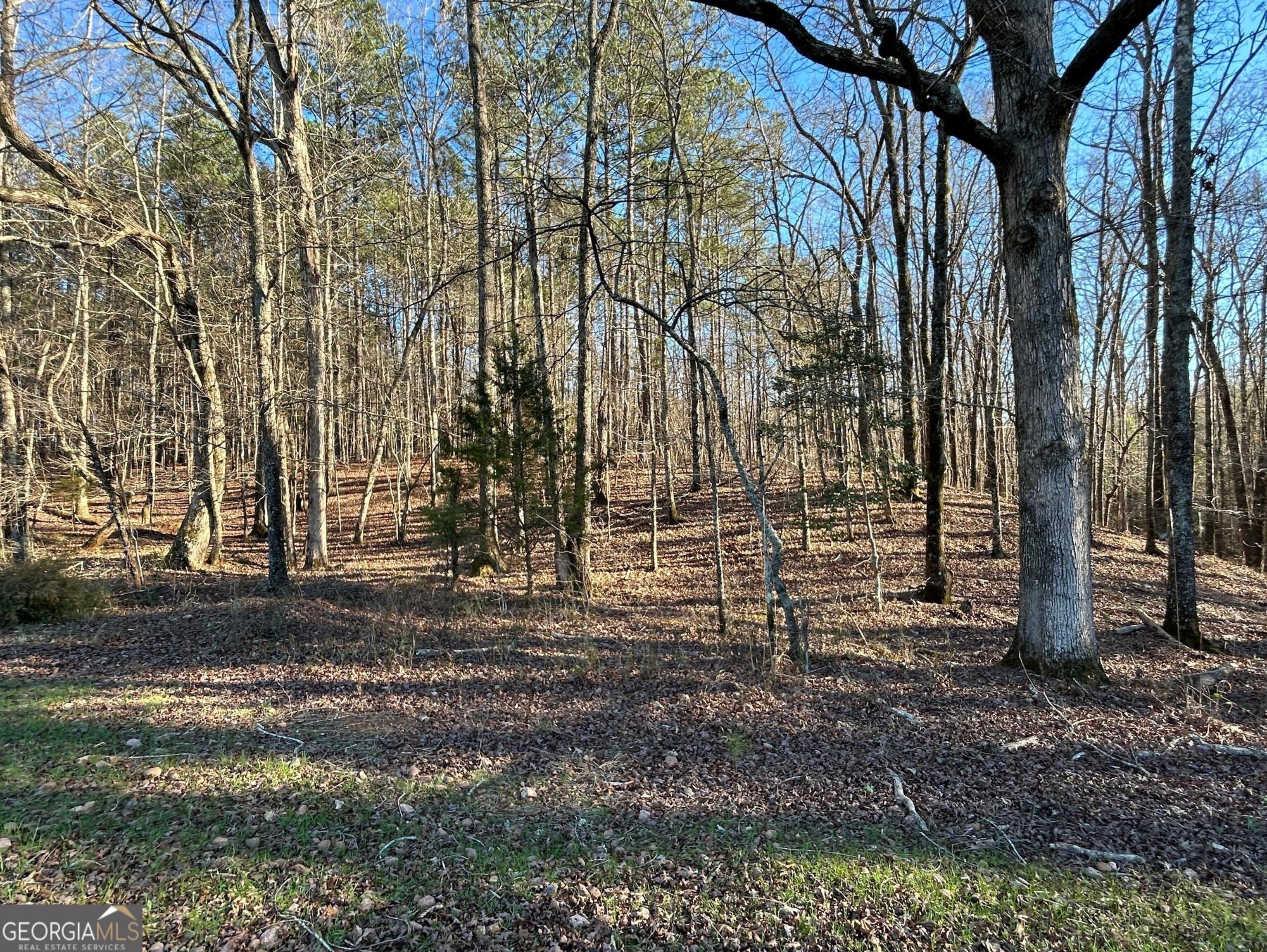 0 Vineyard Road Thomaston, GA 30286 - Photo 39 of 40