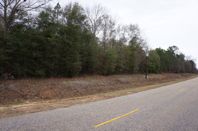 0 Cumbie Road Newton, AL 36352 - Photo 1 of 1 Main View