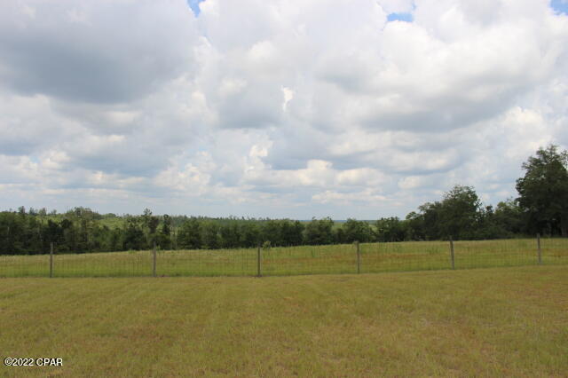 2 Pike Pond Road Chipley, FL 32428 - Photo 10 of 87