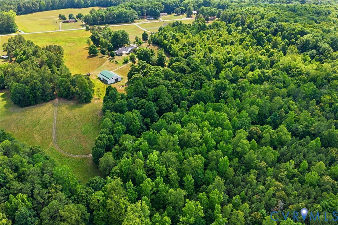13300 West Patrick Henry Road Doswell, VA 23047 - Photo 65 of 69 Expansive wooded acreage featuring a large green b