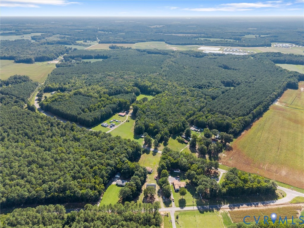 6927 Carsley Road Waverly, VA 23890 - Photo 49 of 51 Expansive undeveloped land featuring mature tree l