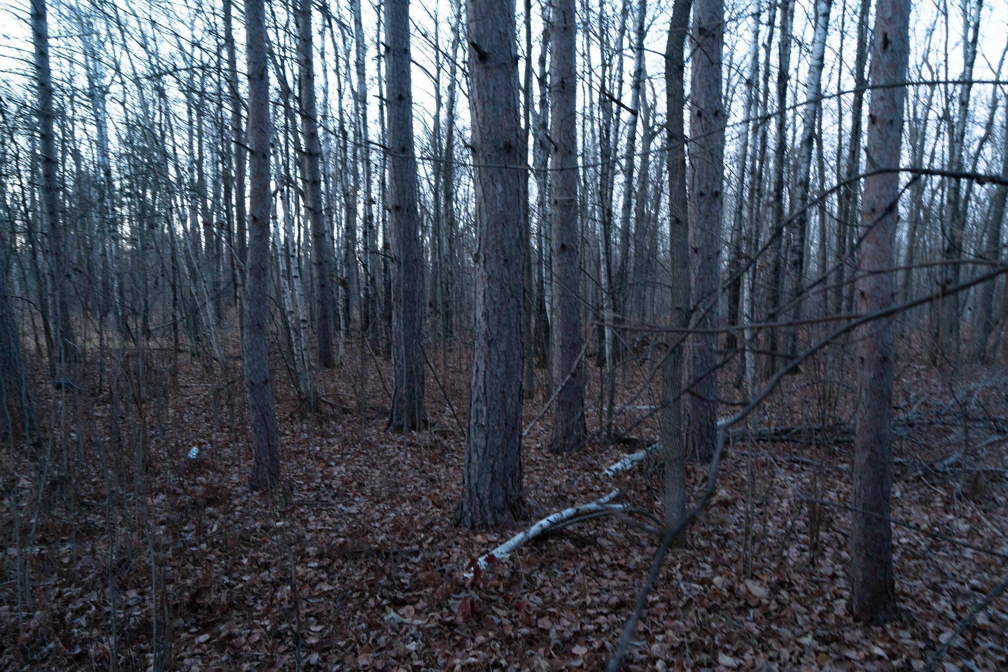 87927 Alder Loop Sturgeon Lake, MN 55783 - Photo 19 of 20