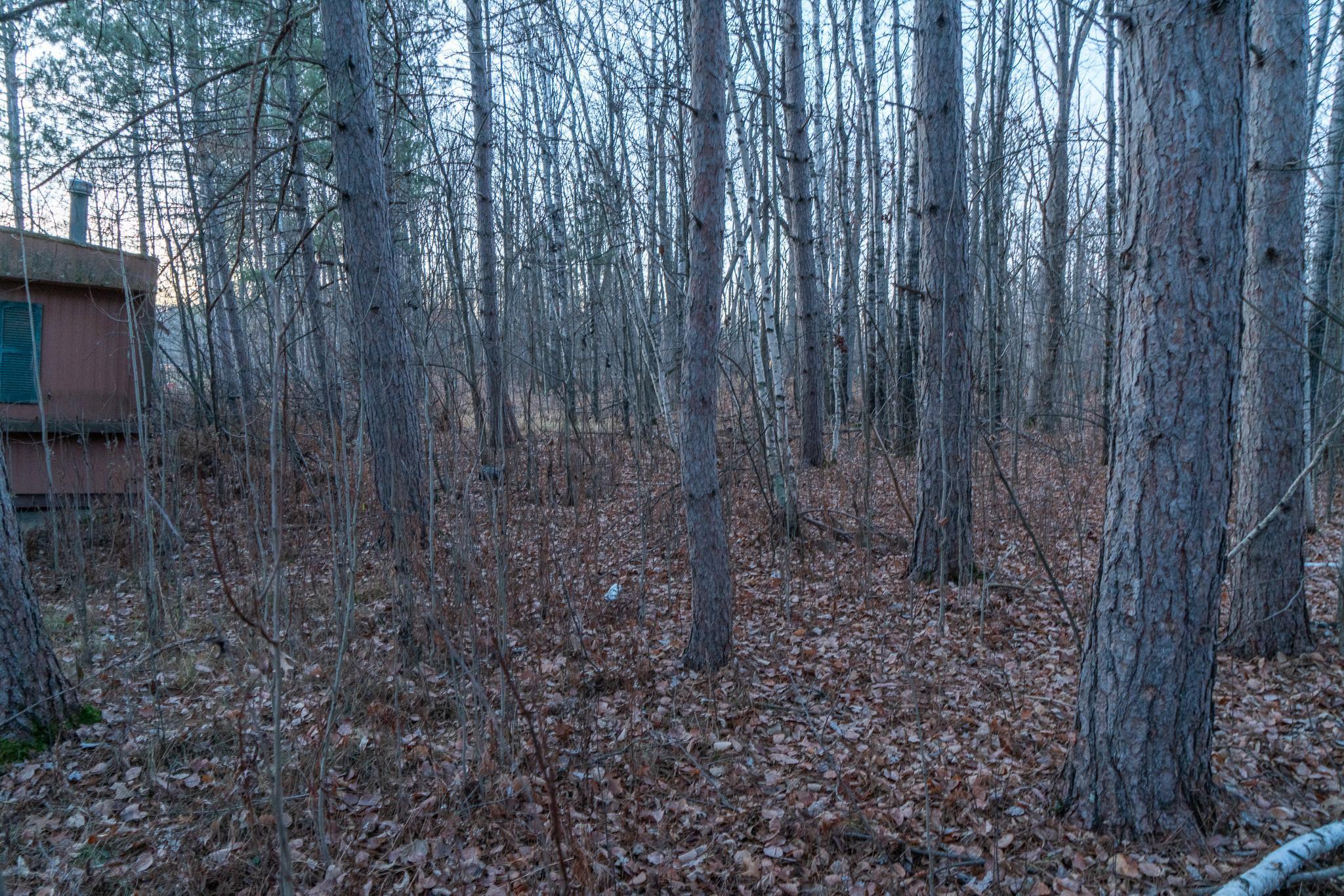 87927 Alder Loop Sturgeon Lake, MN 55783 - Photo 20 of 20