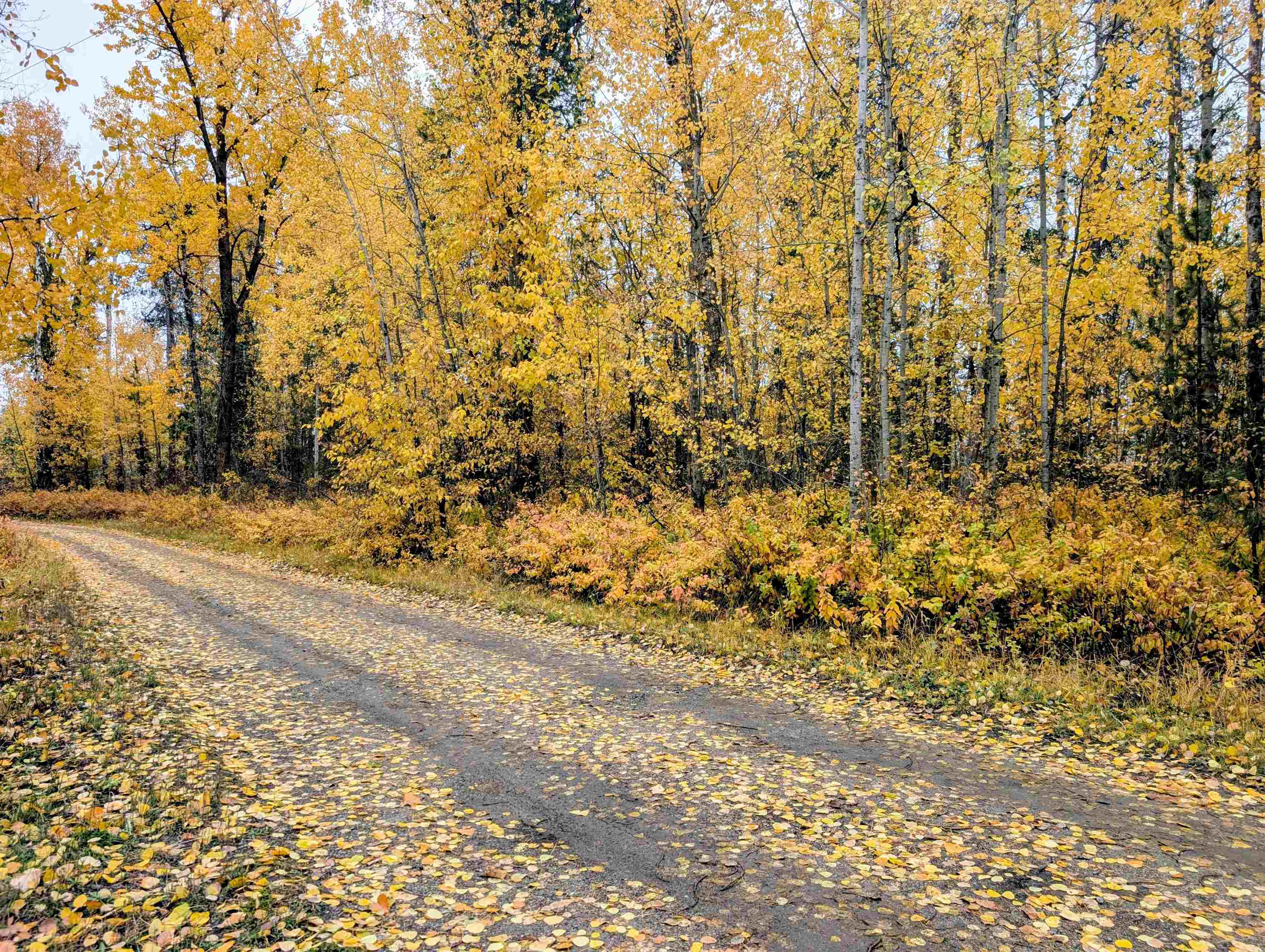 4583 Furzee Road Clayton, WA 99110 - Photo 2 of 50