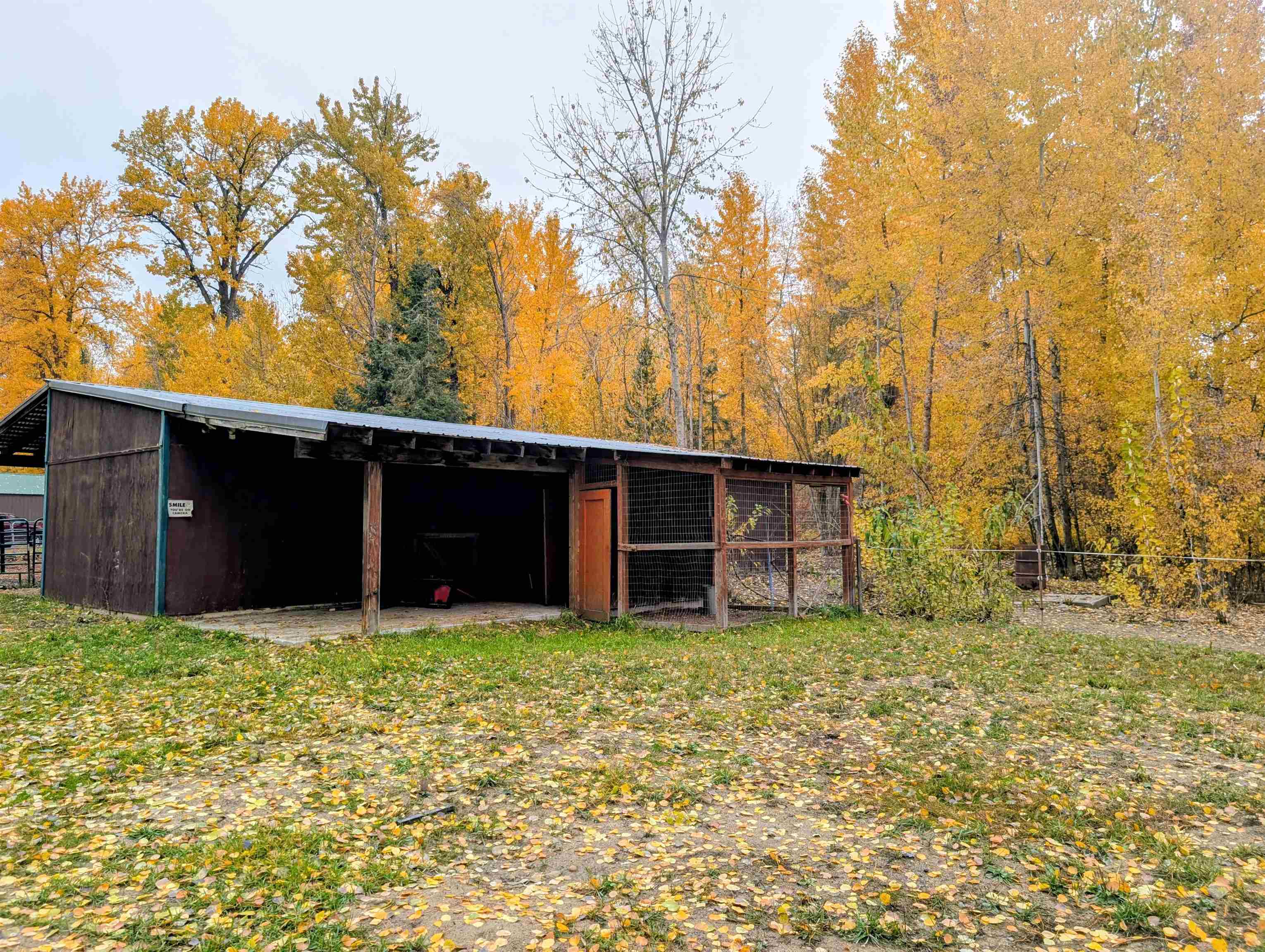 4583 Furzee Road Clayton, WA 99110 - Photo 38 of 50