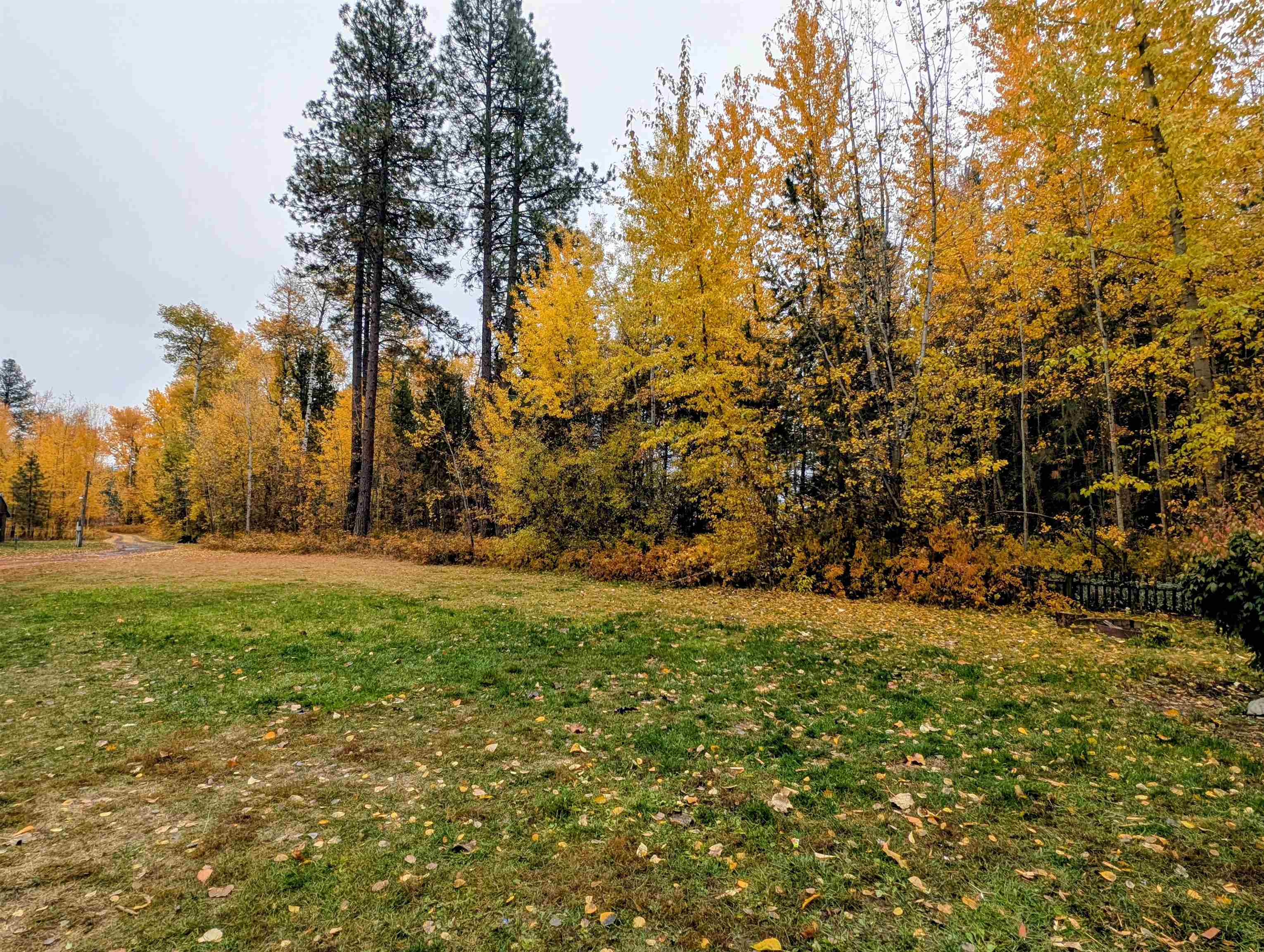 4583 Furzee Road Clayton, WA 99110 - Photo 47 of 50