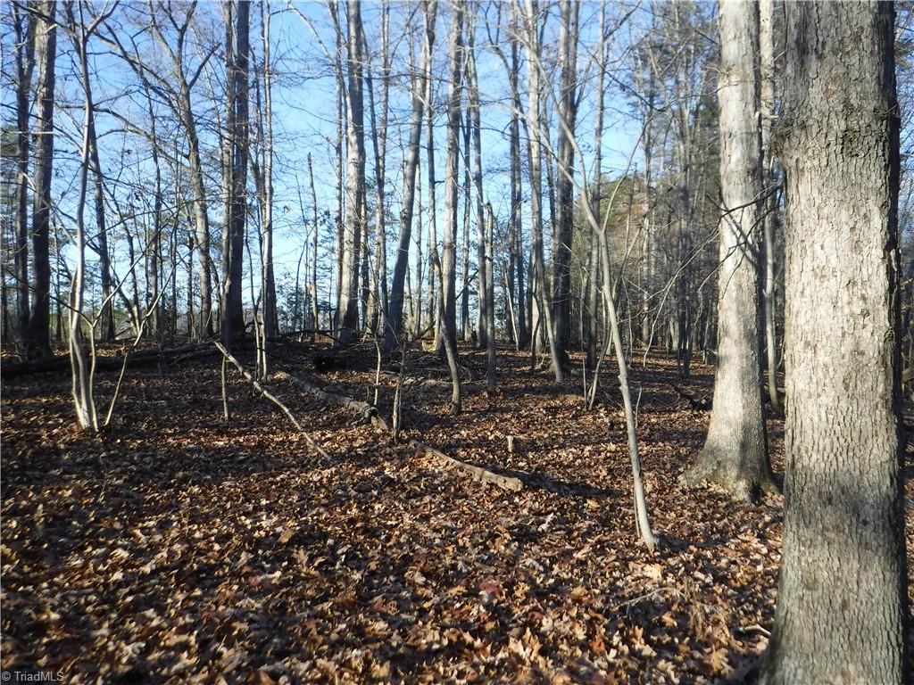 8995 Antioch Church Road Rural Hall, NC 27045 - Photo 12 of 20
