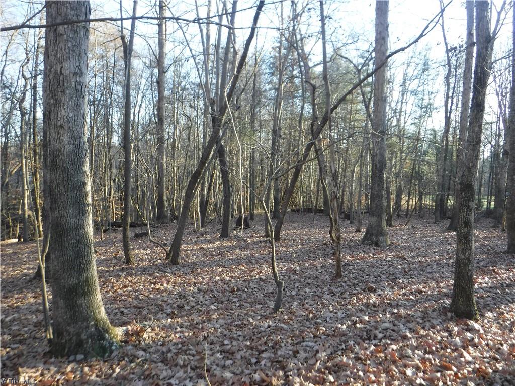 8995 Antioch Church Road Rural Hall, NC 27045 - Photo 13 of 20