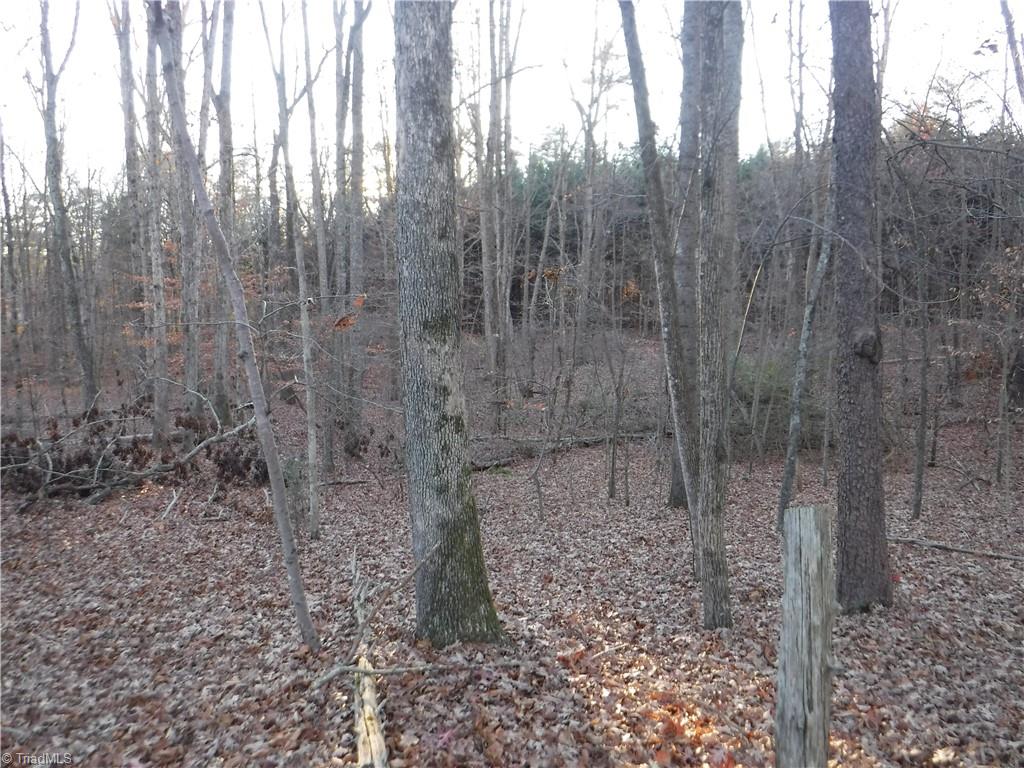 8995 Antioch Church Road Rural Hall, NC 27045 - Photo 15 of 20