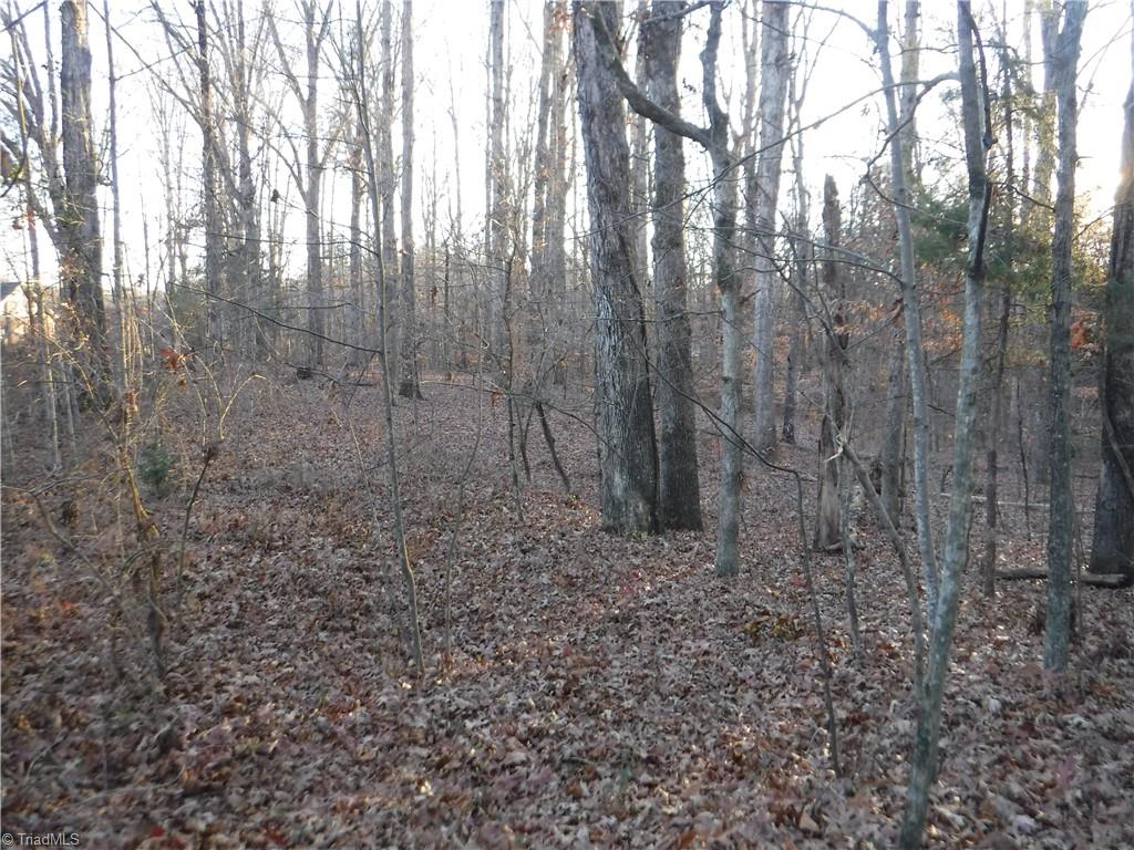 8995 Antioch Church Road Rural Hall, NC 27045 - Photo 16 of 20