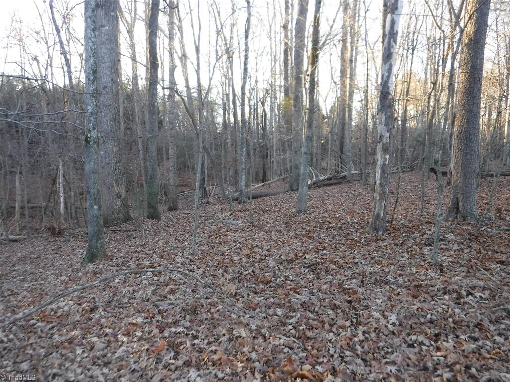8995 Antioch Church Road Rural Hall, NC 27045 - Photo 17 of 20