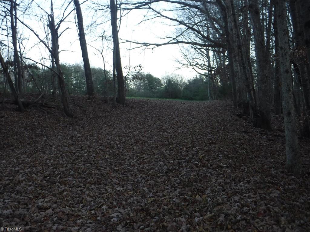 8995 Antioch Church Road Rural Hall, NC 27045 - Photo 18 of 20