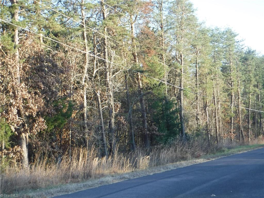 8995 Antioch Church Road Rural Hall, NC 27045 - Photo 2 of 20