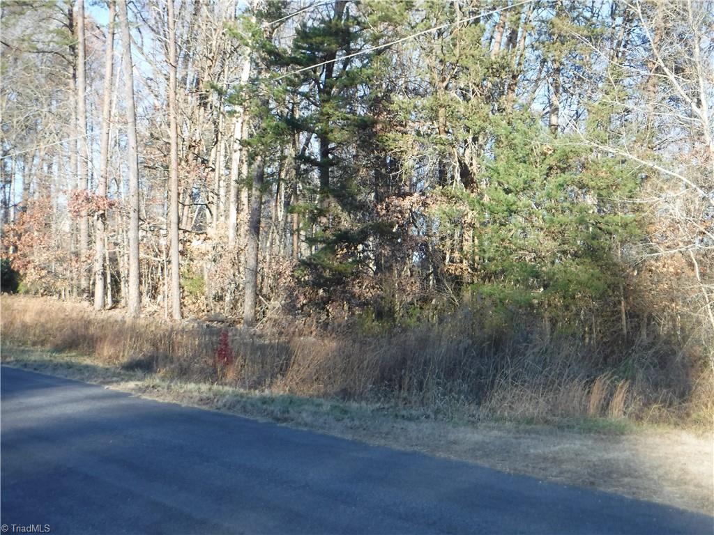 8995 Antioch Church Road Rural Hall, NC 27045 - Photo 3 of 20