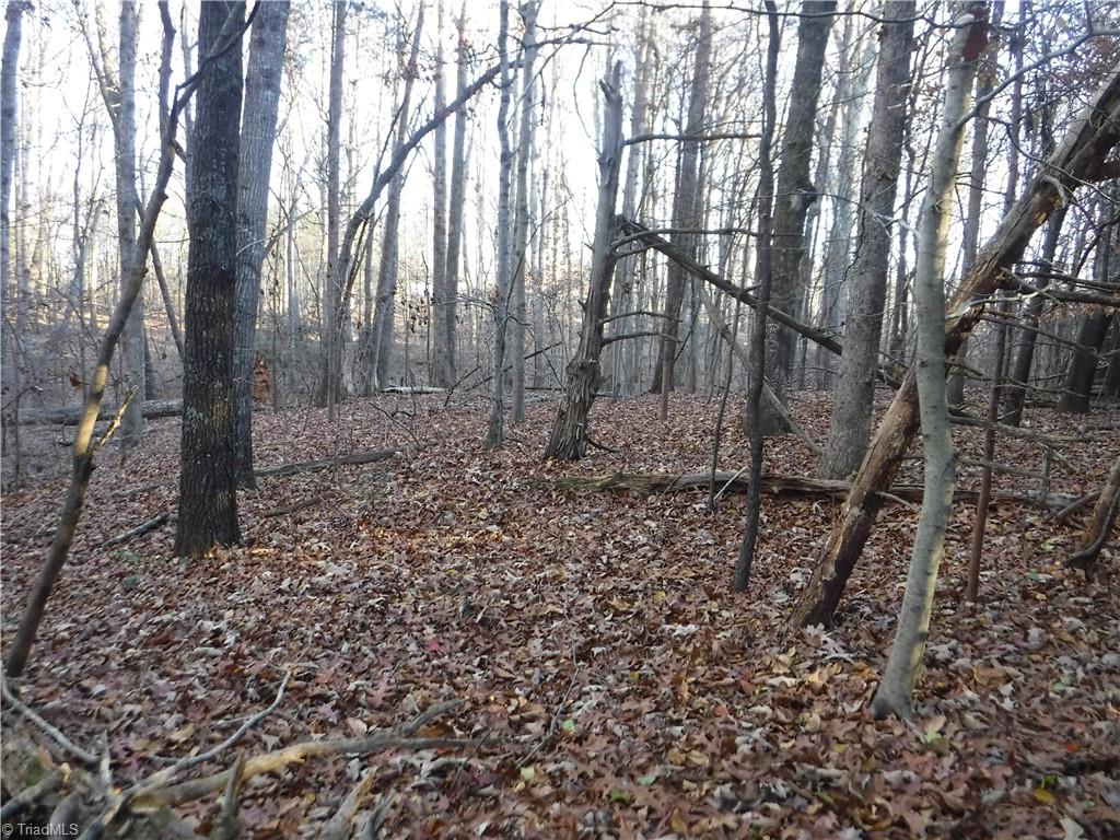 8995 Antioch Church Road Rural Hall, NC 27045 - Photo 4 of 20