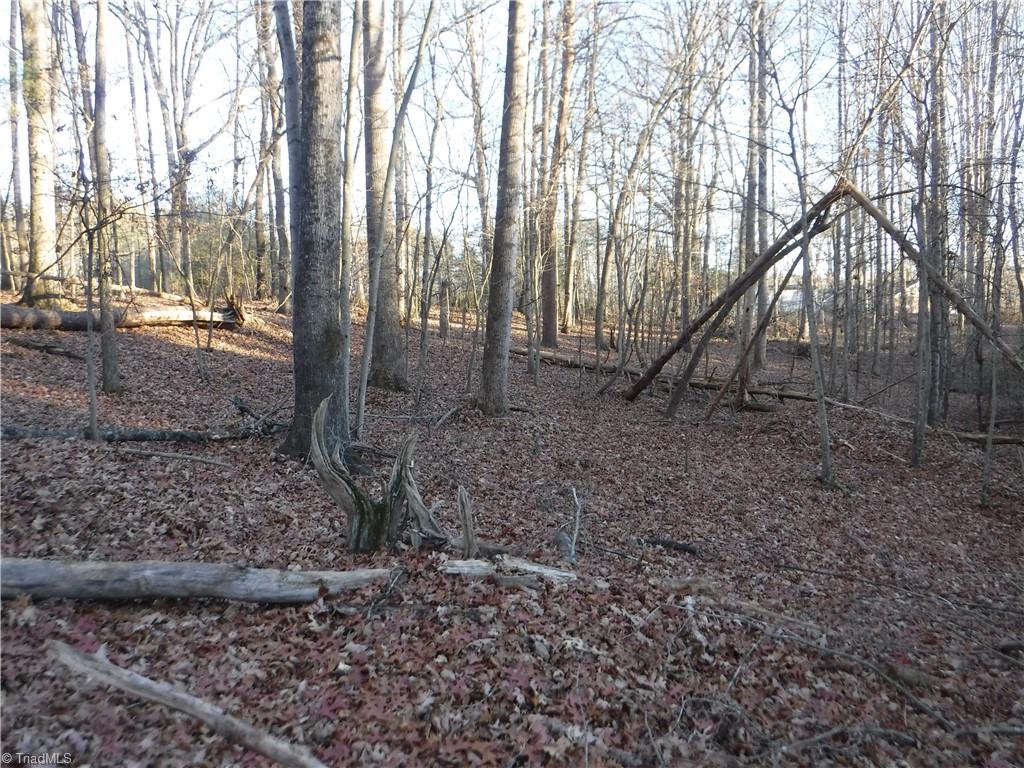 8995 Antioch Church Road Rural Hall, NC 27045 - Photo 5 of 20
