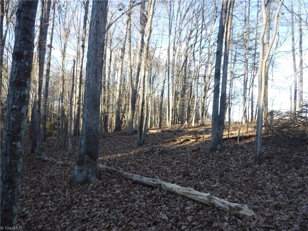 8995 Antioch Church Road Rural Hall, NC 27045 - Photo 6 of 20