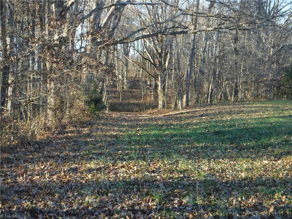 8995 Antioch Church Road Rural Hall, NC 27045 - Photo 7 of 20