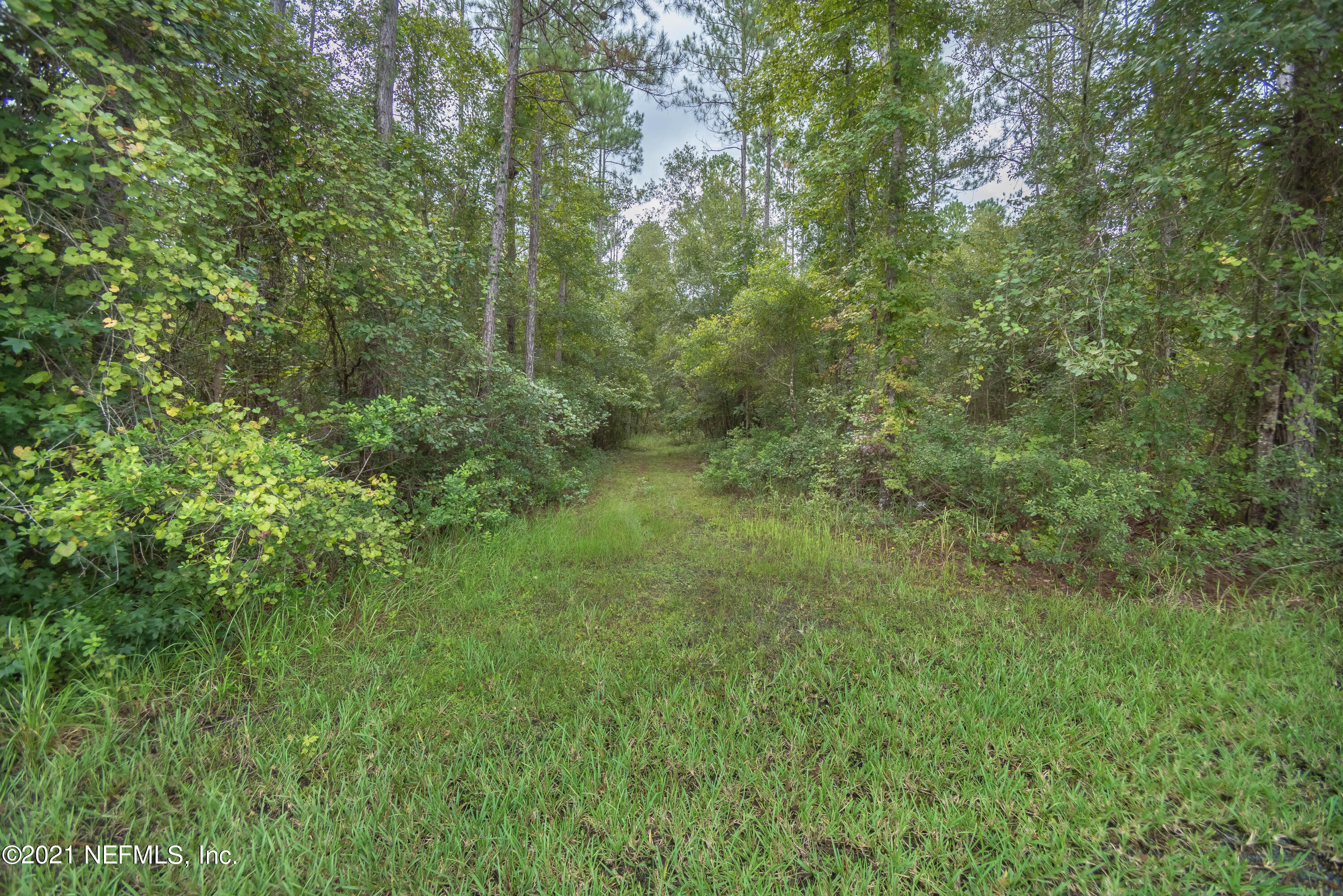 3631 Raintree Drive Macclenny, FL 32063 - Photo 90 of 92 TBP_9859