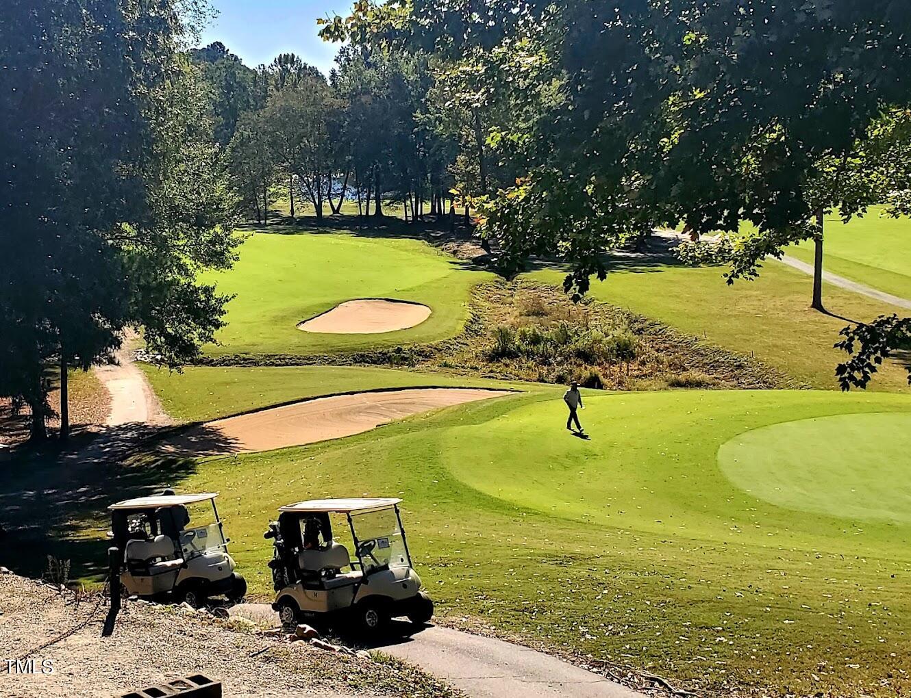 106 Rustler Road Louisburg, NC 27549 - Photo 8 of 15 Golf Course Scene