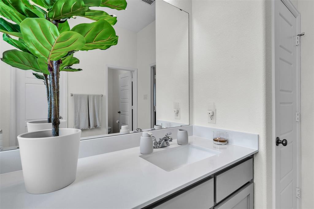 228 Palo Duro Bend Rhome, TX 76078 - Photo 18 of 35 a bathroom with a sink a mirror and a potted plant