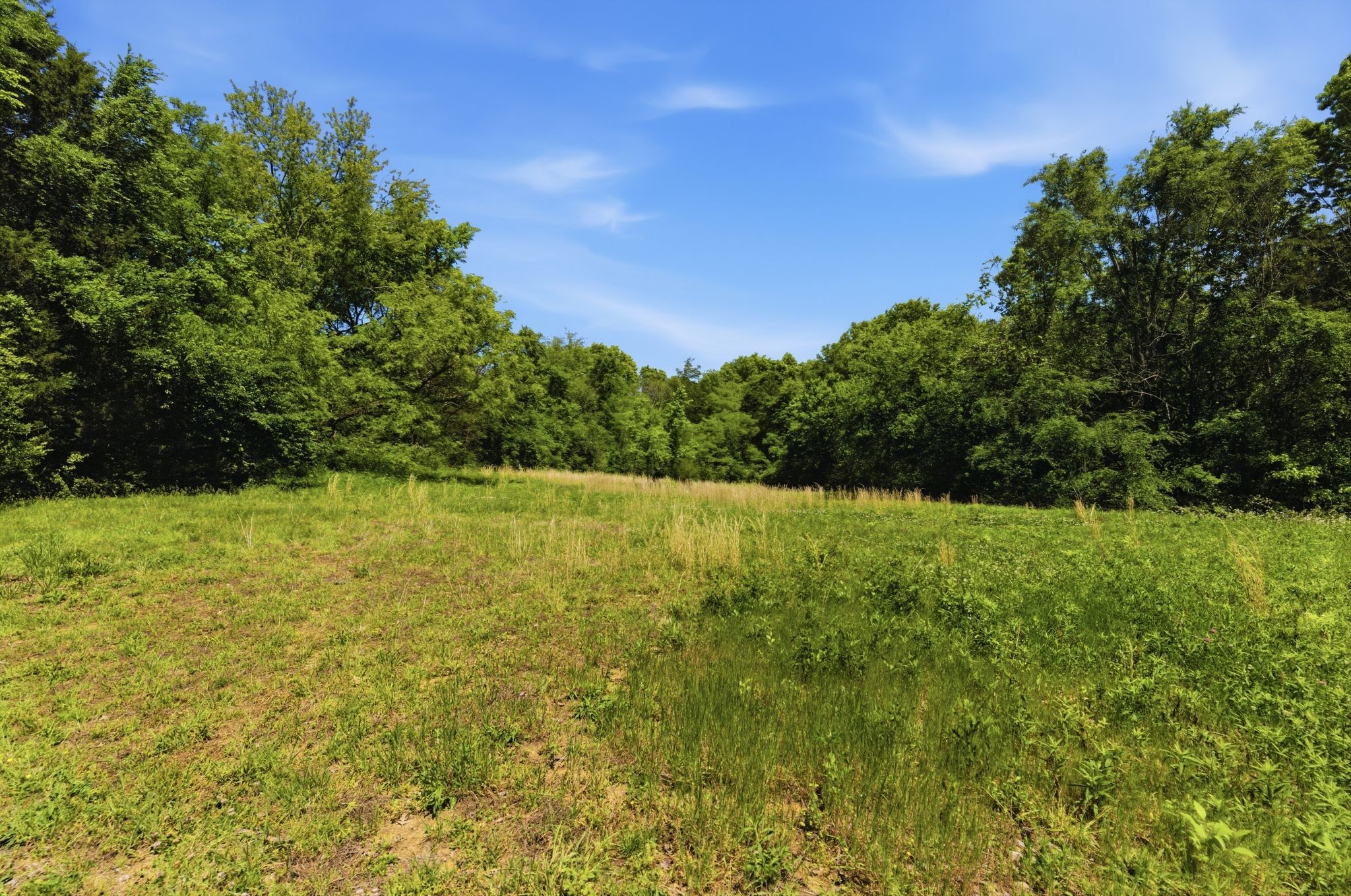 6010 Cane Ridge Road Antioch, TN 37013 - Photo 8 of 12 Gallery Image 8
