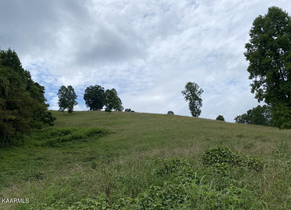 1625 Machine Branch Road Ewing, VA 24248 - Photo 48 of 60 fields