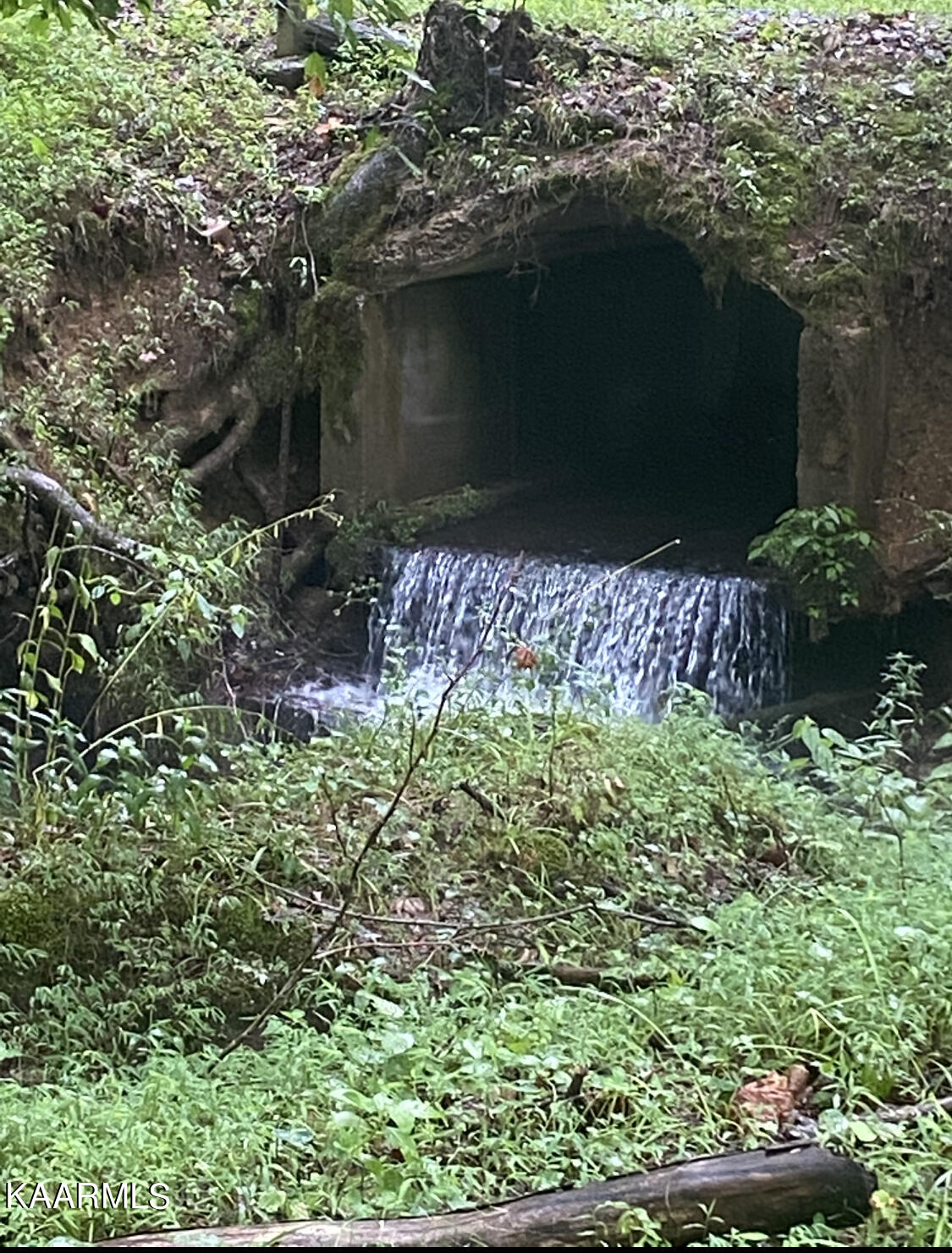 1625 Machine Branch Road Ewing, VA 24248 - Photo 52 of 60 small water fall on farm at creek
