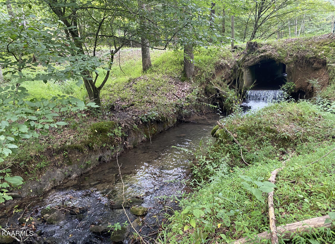 1625 Machine Branch Road Ewing, VA 24248 - Photo 54 of 60 small water fall and creek