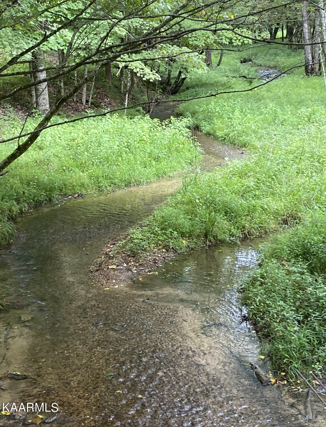 1625 Machine Branch Road Ewing, VA 24248 - Photo 55 of 60 creek