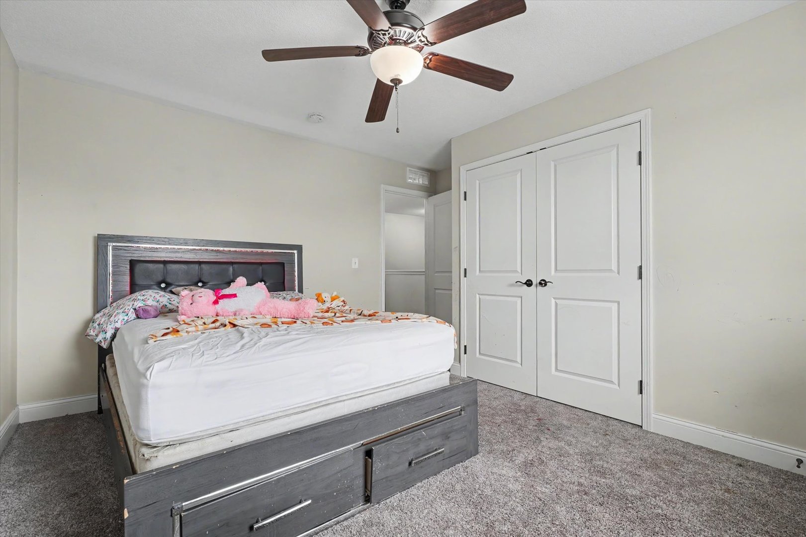 816 Sedgegrass Drive Champaign, IL 61822 - Photo 13 of 25