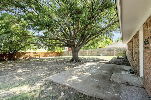 a view of backyard with tree
