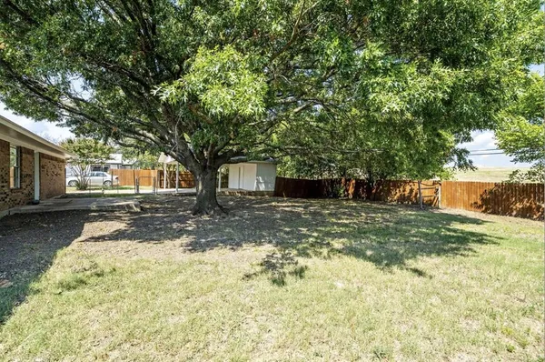 a view of a yard with plants and trees