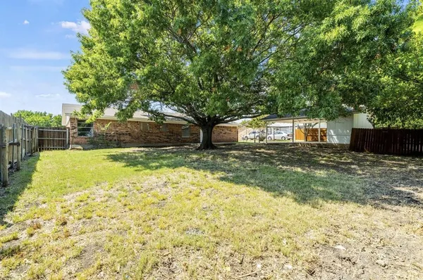 a view of a yard with tree s