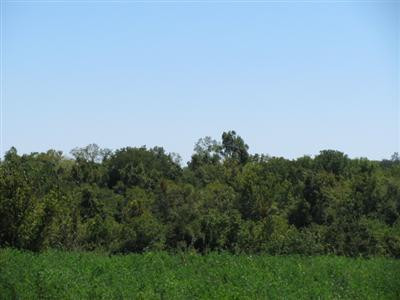 1240 Jim Clark Road Lancaster, KY 40444 - Photo 20 of 34 Photo 20