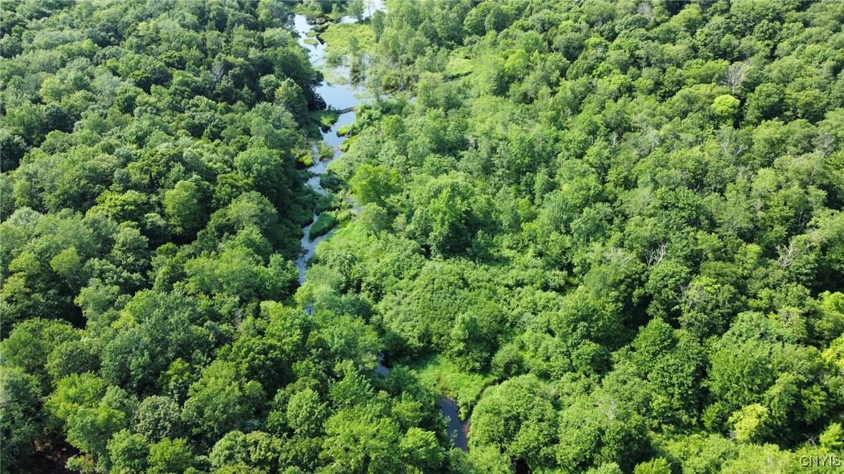 149 Jackson Road Orwell, NY 13144 - Photo 29 of 31 Pennock Brook