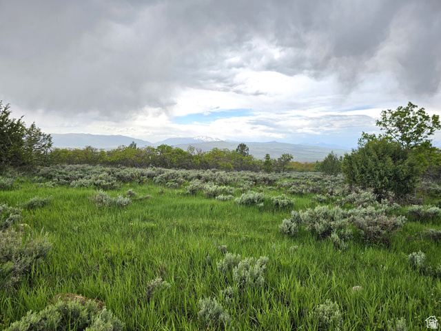 2 Whispering Pines Road, Unit 2 Mount Pleasant, UT 84647 - Photo 8 of 12