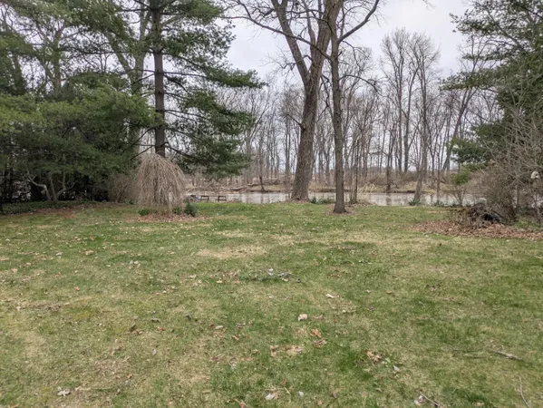 a big yard with trees
