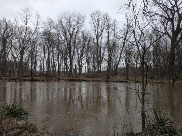 a view of pool with tree in it