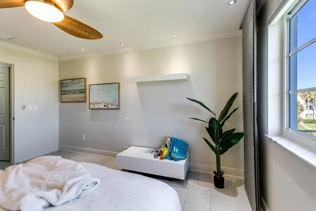 a bedroom with a potted plant and a window