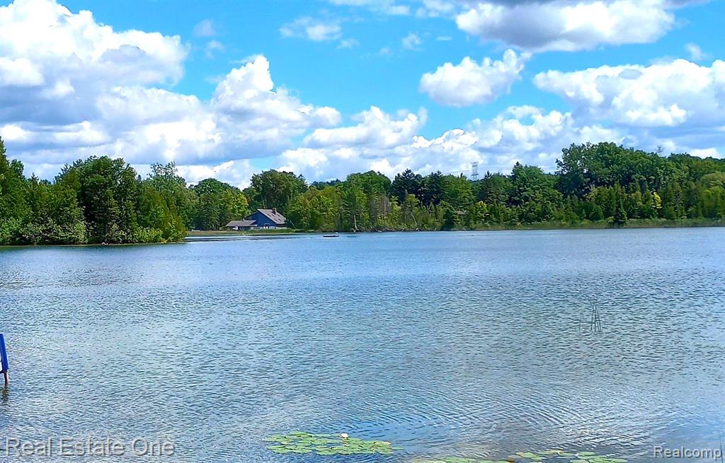 0 Sashabaw Road Ortonville, MI 48462 - Photo 1 of 7