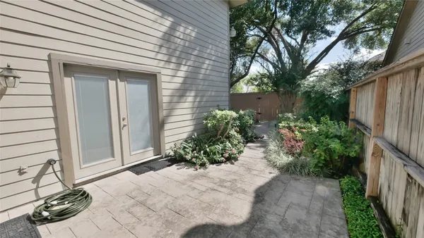 a view of a backyard with plants and large tree
