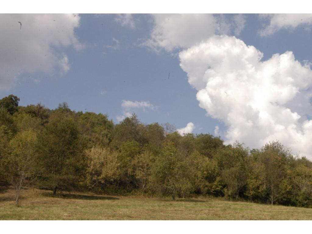 Lot 7 Charles Johnson Road, Unit 7 Chuckey, TN 37641 - Photo 6 of 17 Photo 6