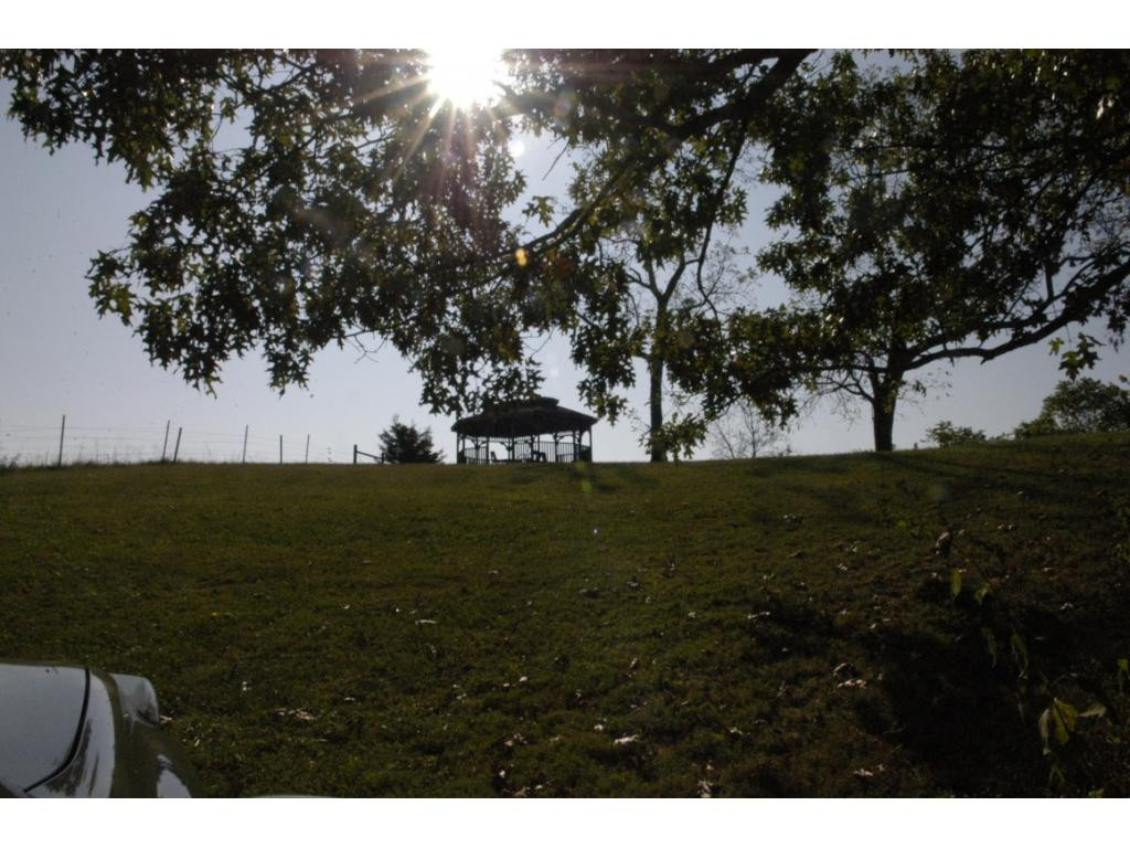 Lot 7 Charles Johnson Road, Unit 7 Chuckey, TN 37641 - Photo 7 of 17 Photo 7