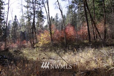 93 Elmer Road Twisp, WA 98856 - Photo 1 of 1 Gallery Image 1