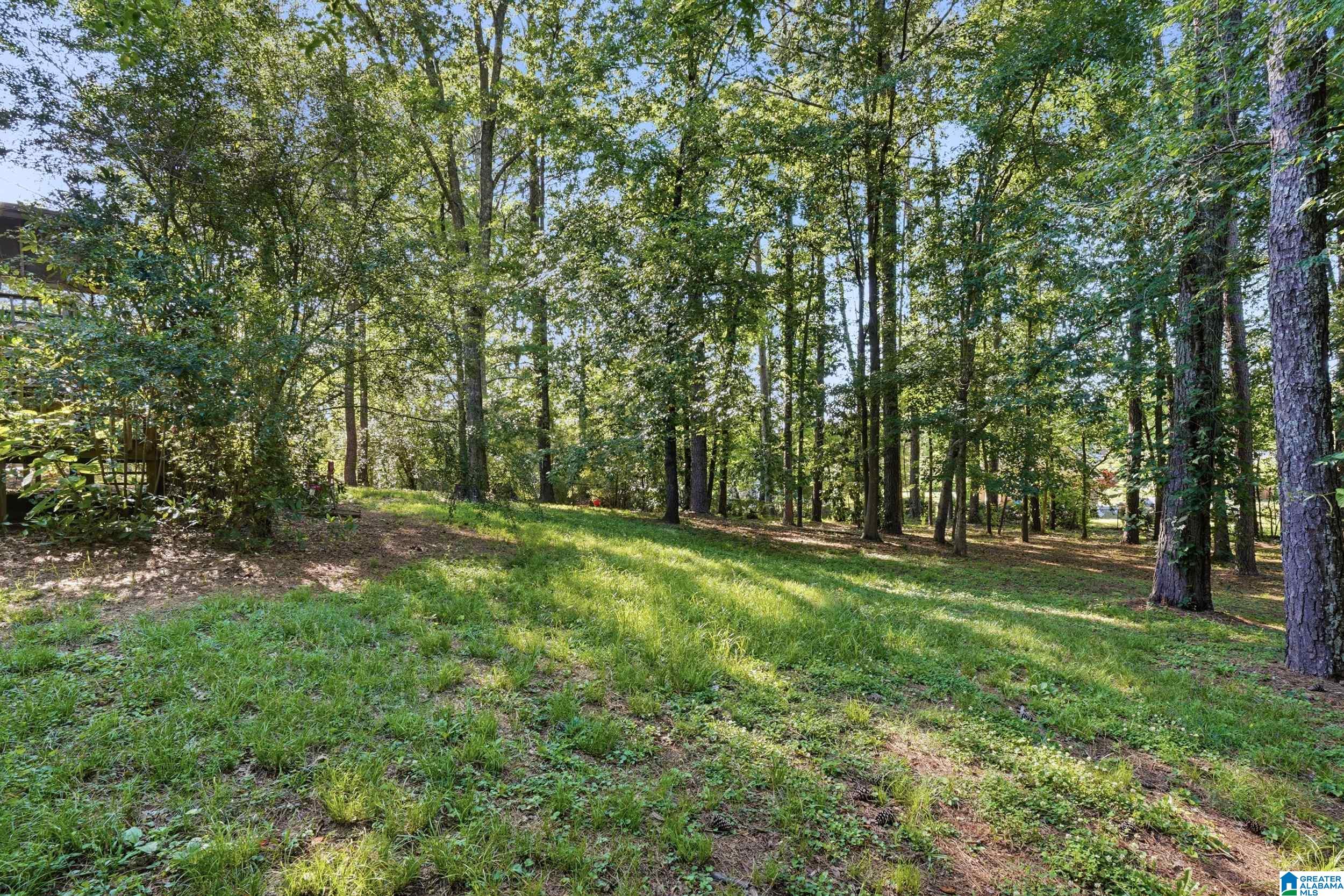 211 Rine Drive Rainbow City, AL 35906 - Photo 5 of 25