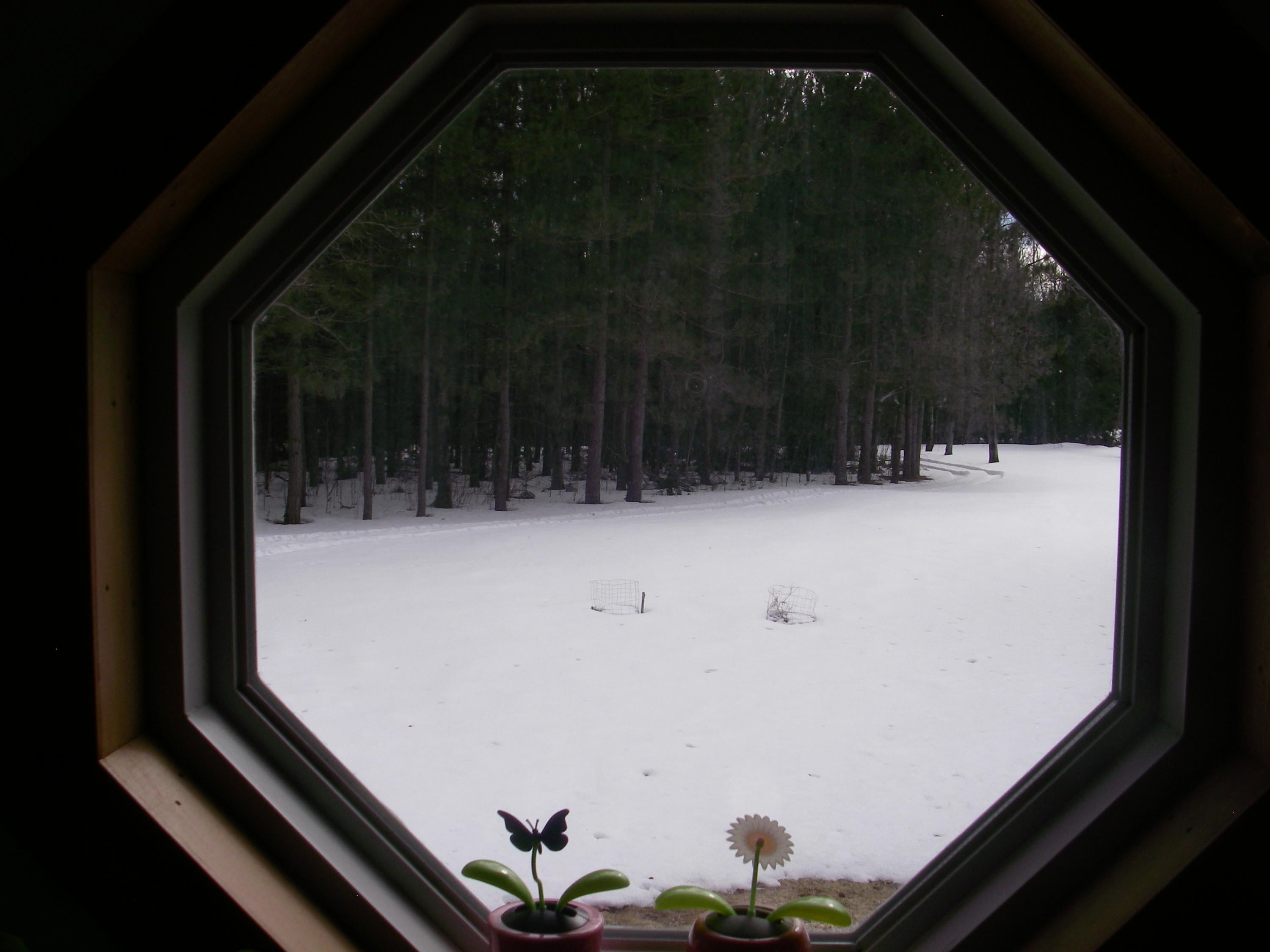 11111 Newman Road Frederic, MI 49733 - Photo 19 of 36 Gallery Image 19