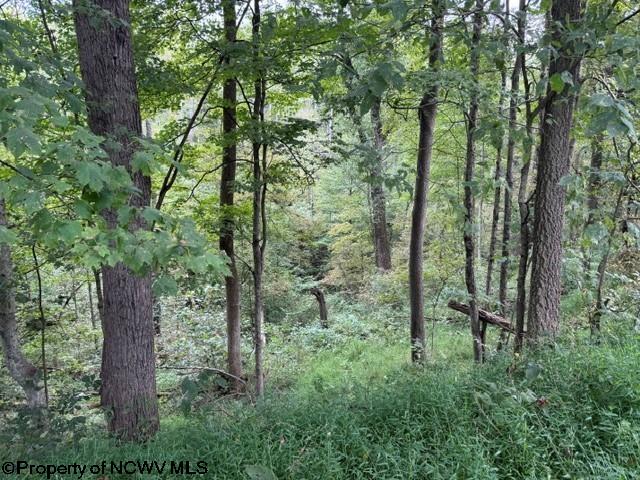 Tbd Massie Hollow Road Rivesville, WV 26588 - Photo 5 of 26 Gallery Image 5