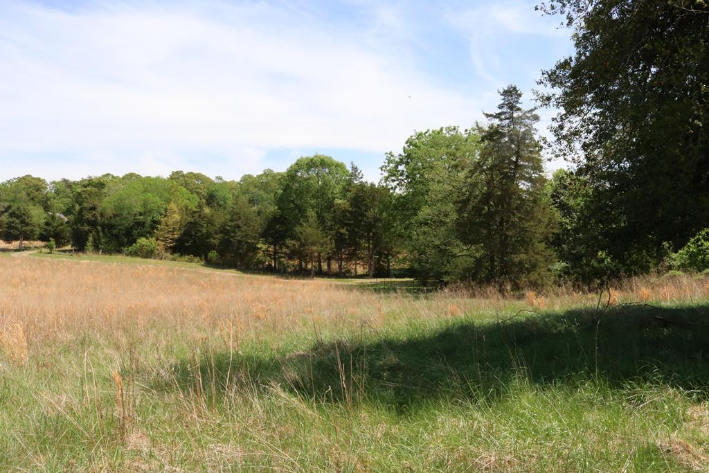 1024 Sulphur Spring Road Pamplin, VA 23958 - Photo 20 of 26 Gallery Image 20